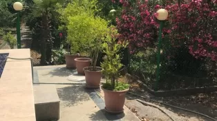 فروش ویلا باغ ساحلی با امکانات عالی