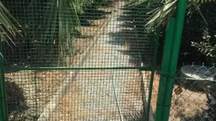 فروش ویلا باغ ساحلی با امکانات عالی