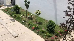 فروش ویلا مدرن سرخرود جکوزی