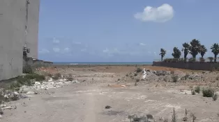 ۲۳۰۰ متر زمین ساحلی پلاک یک دریا در سرخرود