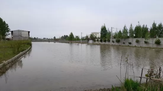 زمین ۴۰۰۰ هزار متری رو به رو خانه دریا