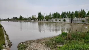 زمین ۴۰۰۰ هزار متری رو به رو خانه دریا