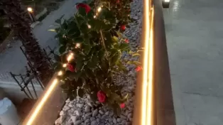 فروش ویلا چهار خواب سرخرود مدرن