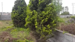 ۱۹۰ متر زمین ساحلی