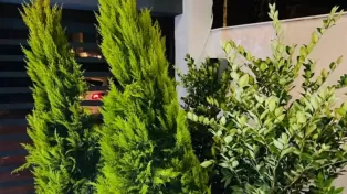 فروش ویژه ویلای شیک و نوساز مدرن
